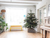 Christmas Tree Care: How to Keep Your Tree Green and Fresh Throughout the Holidays